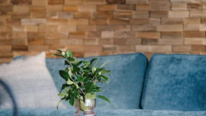 Wharangi Cottage, Cable Bay